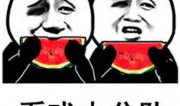 吃瓜表情包,揭秘网络时代的幽默密码